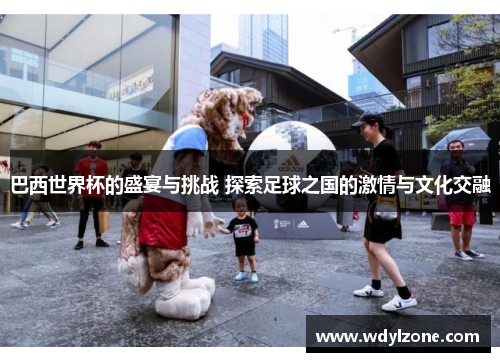 巴西世界杯的盛宴与挑战 探索足球之国的激情与文化交融