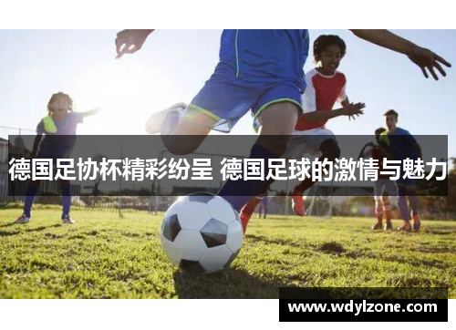 德国足协杯精彩纷呈 德国足球的激情与魅力